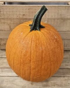Carving Pumpkins