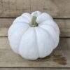 20260927_170256 Small Decorative Pumpkins
