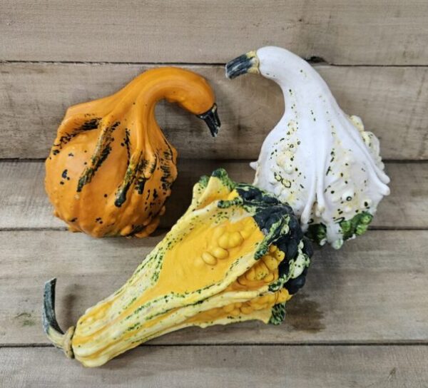 20260927_170331 Small Decorative Pumpkins